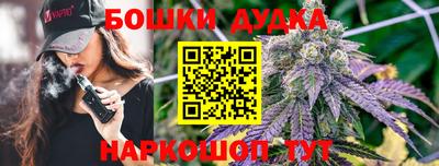 МДПВ Будённовск
